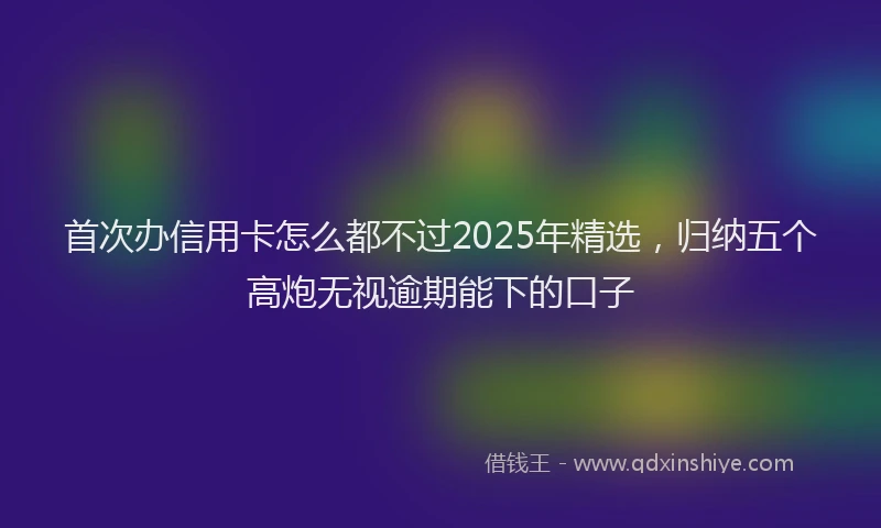 首次办信用卡怎么都不过2025年精选，归纳五个高炮无视逾期能下的口子