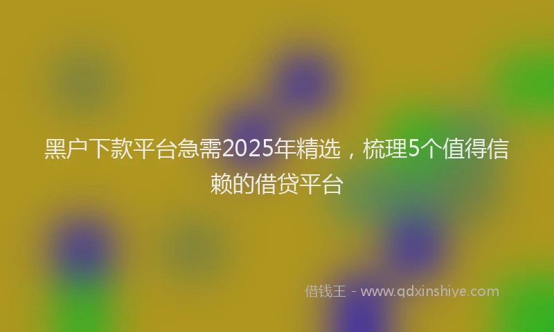 黑户下款平台急需2025年精选，梳理5个值得信赖的借贷平台
