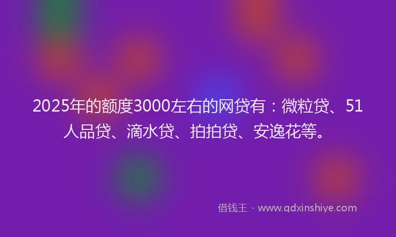 2025年的额度3000左右的网贷有：微粒贷、51人品贷、滴水贷、拍拍贷、安逸花等。