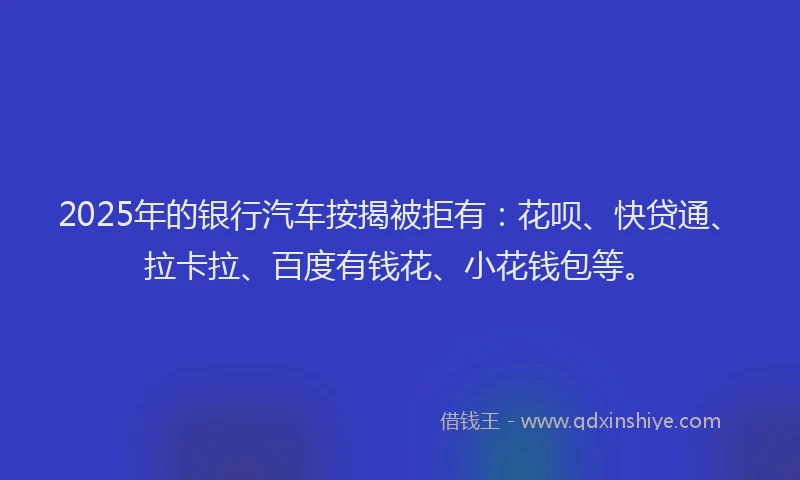 2025年的银行汽车按揭被拒有：花呗、快贷通、拉卡拉、百度有钱花、小花钱包等。