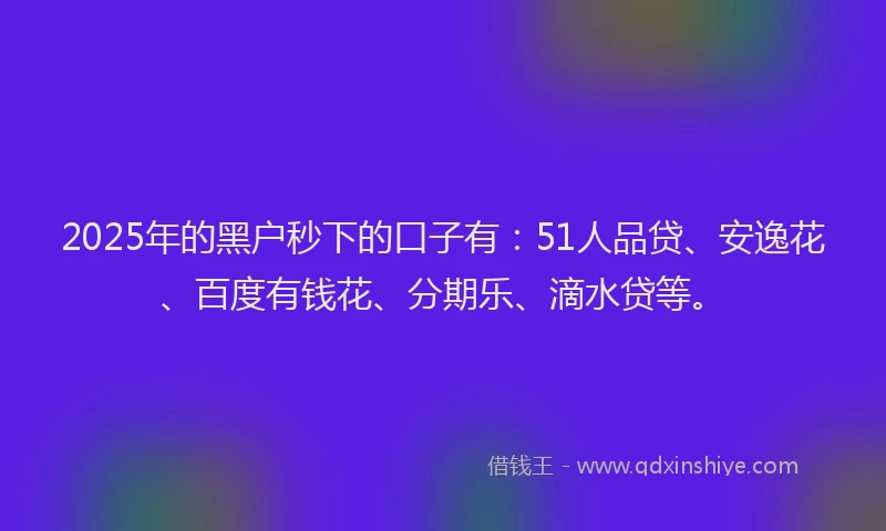 2025年的黑户秒下的口子有：51人品贷、安逸花、百度有钱花、分期乐、滴水贷等。