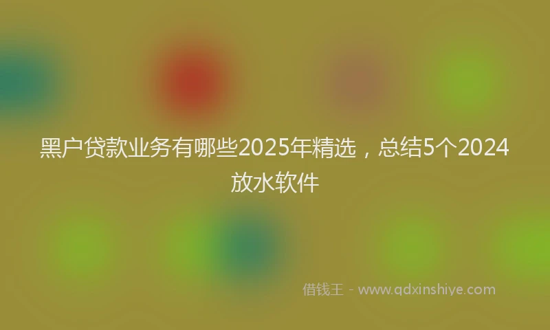 黑户贷款业务有哪些2025年精选，总结5个2024放水软件