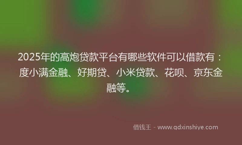 2025年的高炮贷款平台有哪些软件可以借款有：度小满金融、好期贷、小米贷款、花呗、京东金融等。