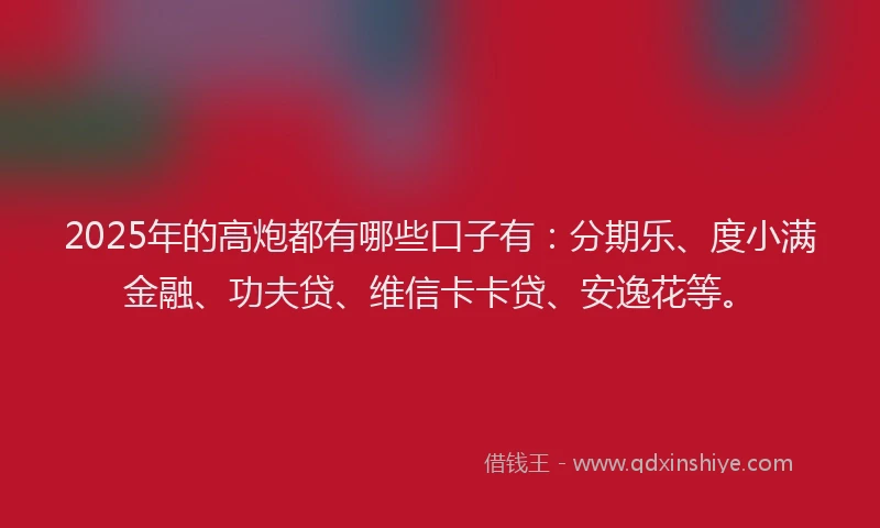 2025年的高炮都有哪些口子有：分期乐、度小满金融、功夫贷、维信卡卡贷、安逸花等。
