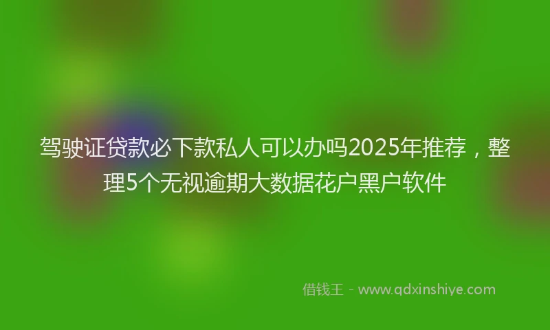 驾驶证贷款必下款私人可以办吗2025年推荐，整理5个无视逾期大数据花户黑户软件