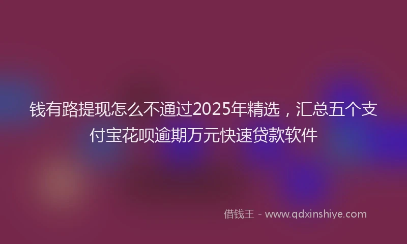钱有路提现怎么不通过2025年精选，汇总五个支付宝花呗逾期万元快速贷款软件
