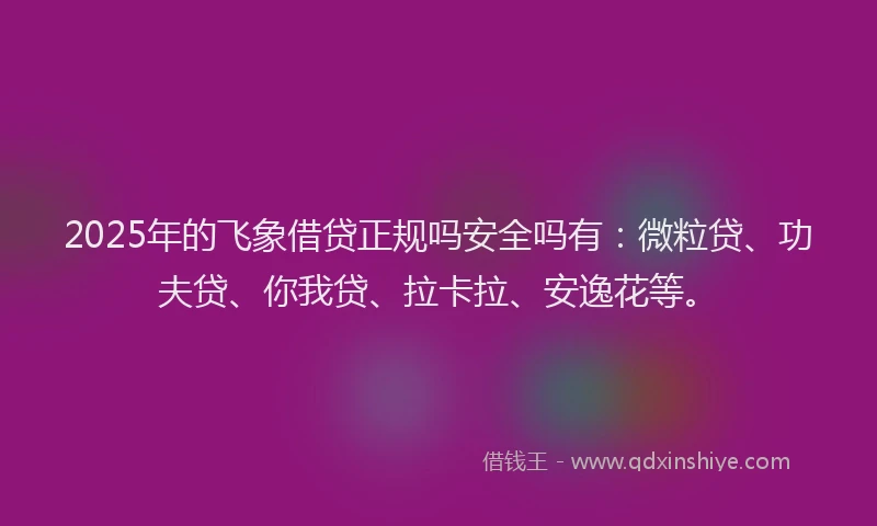 2025年的飞象借贷正规吗安全吗有：微粒贷、功夫贷、你我贷、拉卡拉、安逸花等。