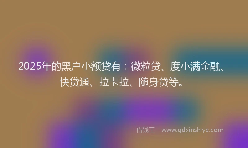 2025年的黑户小额贷有：微粒贷、度小满金融、快贷通、拉卡拉、随身贷等。