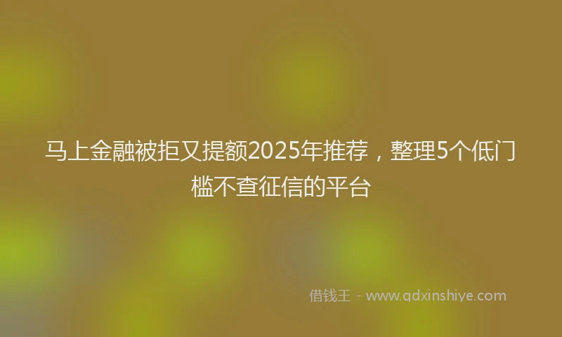 马上金融被拒又提额2025年推荐，整理5个低门槛不查征信的平台