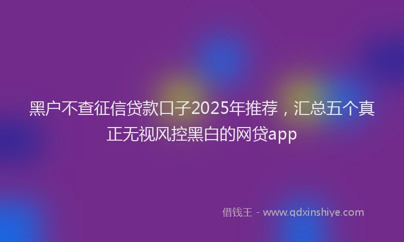 黑户不查征信贷款口子2025年推荐，汇总五个真正无视风控黑白的网贷app