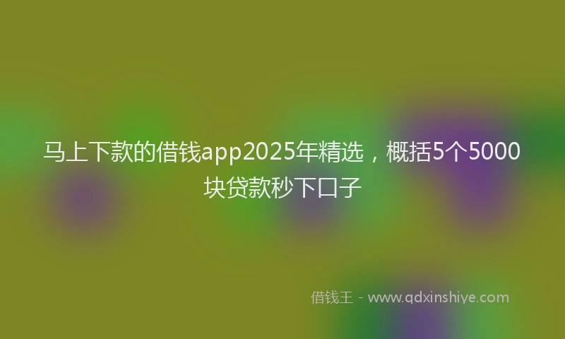 马上下款的借钱app2025年精选，概括5个5000块贷款秒下口子