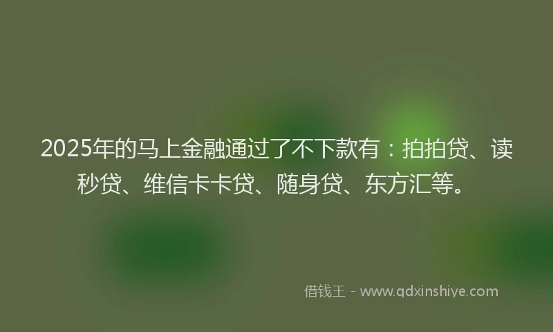 2025年的马上金融通过了不下款有：拍拍贷、读秒贷、维信卡卡贷、随身贷、东方汇等。