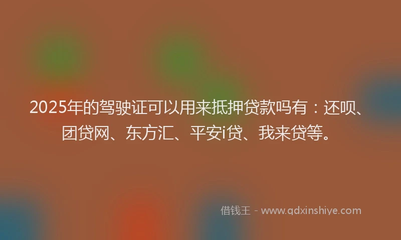 2025年的驾驶证可以用来抵押贷款吗有：还呗、团贷网、东方汇、平安i贷、我来贷等。