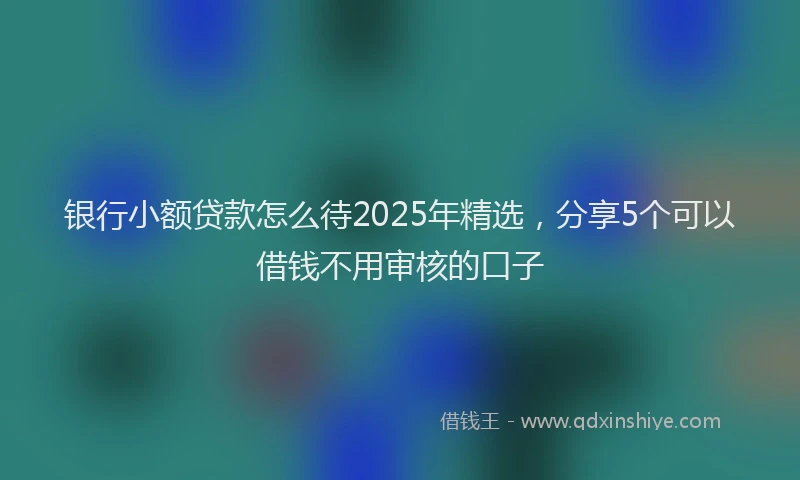 银行小额贷款怎么待2025年精选，分享5个可以借钱不用审核的口子