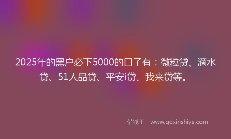 2025年的黑户必下5000的口子有：微粒贷、滴水贷、51人品贷、平安i贷、我来贷等。