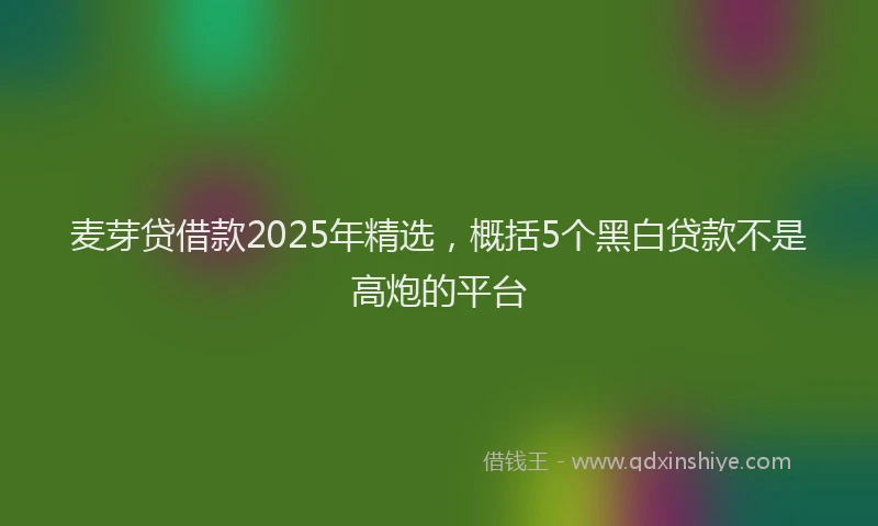 麦芽贷借款2025年精选，概括5个黑白贷款不是高炮的平台