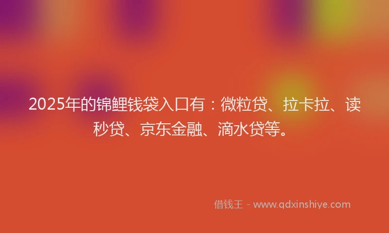 2025年的锦鲤钱袋入口有：微粒贷、拉卡拉、读秒贷、京东金融、滴水贷等。