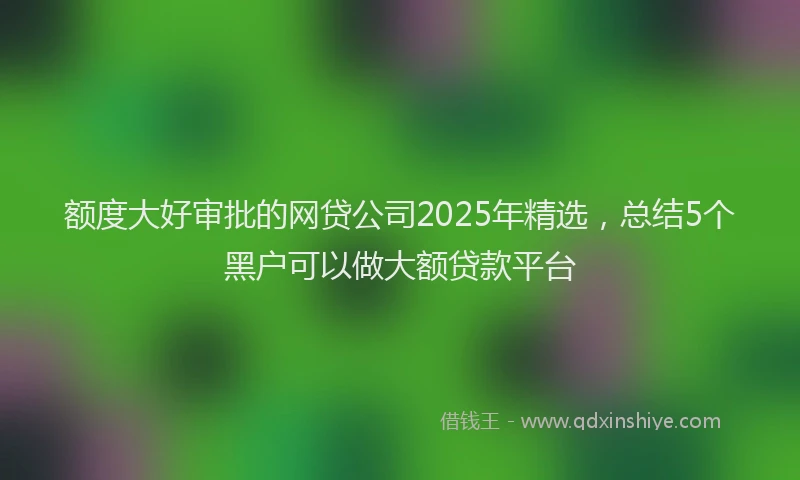 额度大好审批的网贷公司2025年精选，总结5个黑户可以做大额贷款平台