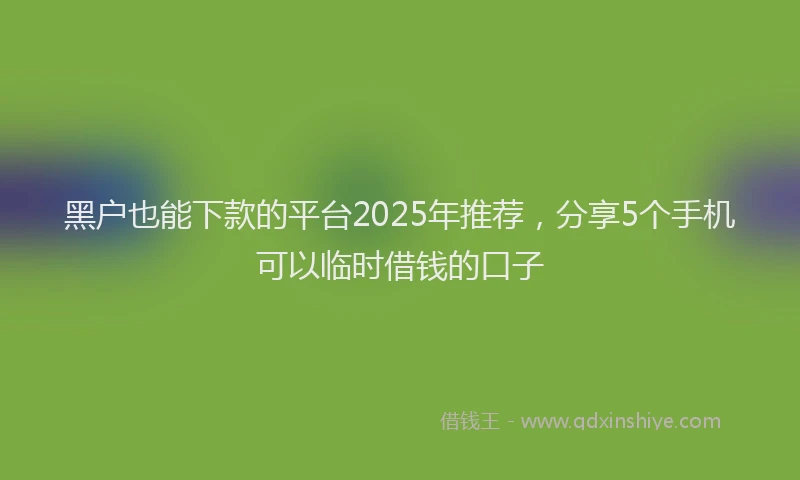 黑户也能下款的平台2025年推荐，分享5个手机可以临时借钱的口子