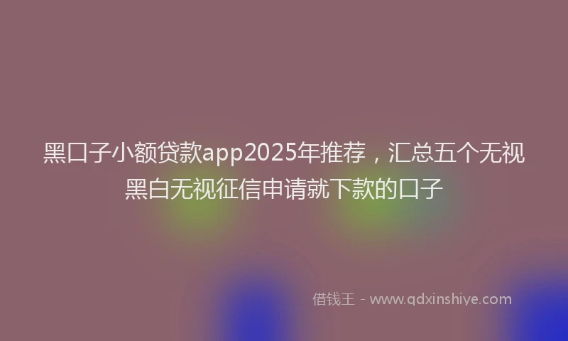 黑口子小额贷款app2025年推荐，汇总五个无视黑白无视征信申请就下款的口子