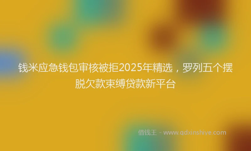 钱米应急钱包审核被拒2025年精选，罗列五个摆脱欠款束缚贷款新平台