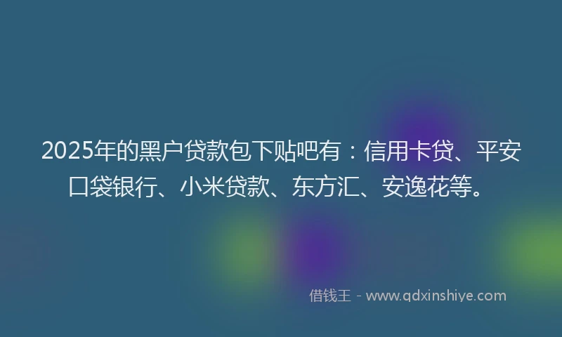 2025年的黑户贷款包下贴吧有：信用卡贷、平安口袋银行、小米贷款、东方汇、安逸花等。