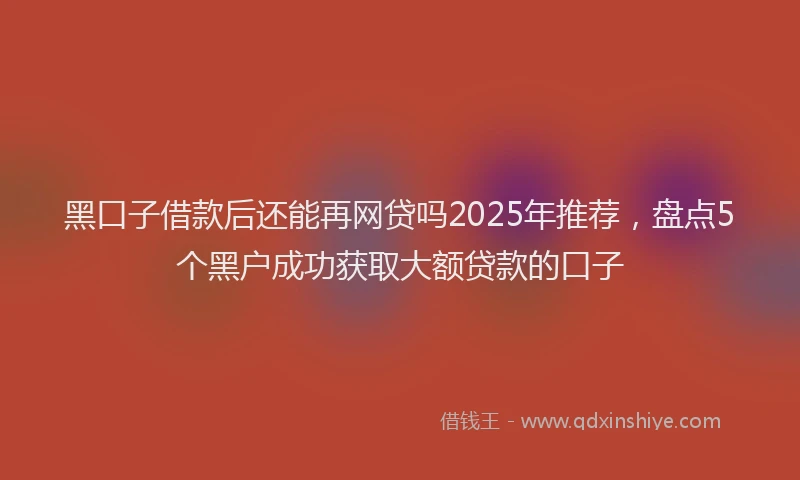 黑口子借款后还能再网贷吗2025年推荐，盘点5个黑户成功获取大额贷款的口子