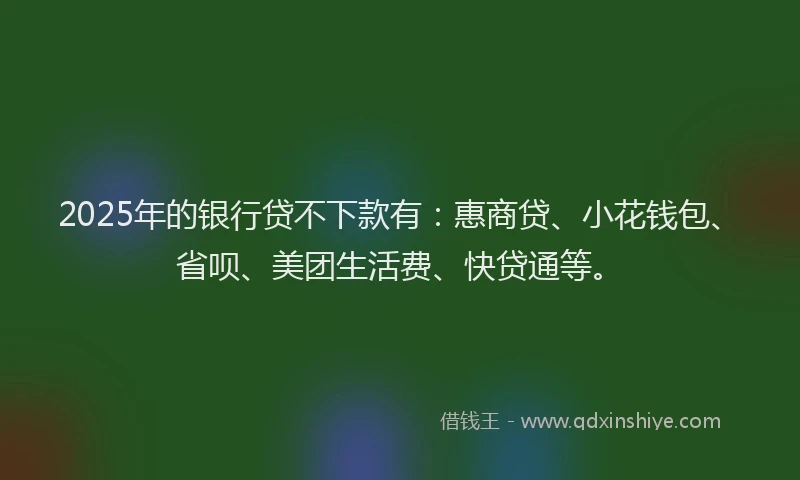 2025年的银行贷不下款有：惠商贷、小花钱包、省呗、美团生活费、快贷通等。