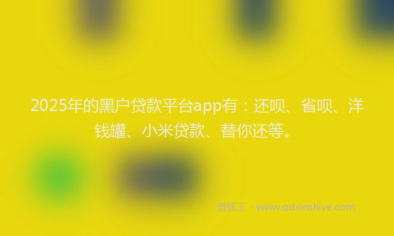 2025年的黑户贷款平台app有：还呗、省呗、洋钱罐、小米贷款、替你还等。