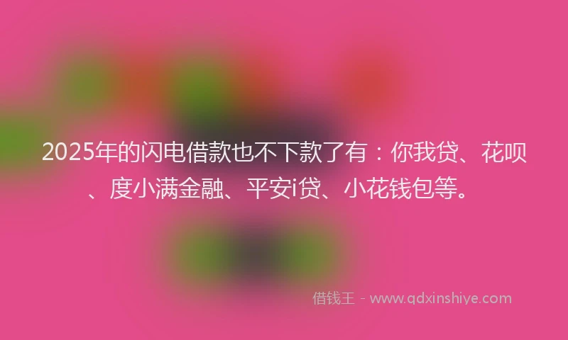 2025年的闪电借款也不下款了有：你我贷、花呗、度小满金融、平安i贷、小花钱包等。