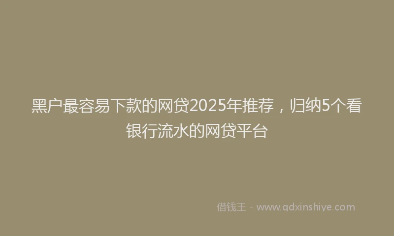 黑户最容易下款的网贷2025年推荐，归纳5个看银行流水的网贷平台