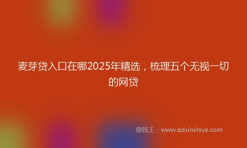 麦芽贷入口在哪2025年精选，梳理五个无视一切的网贷