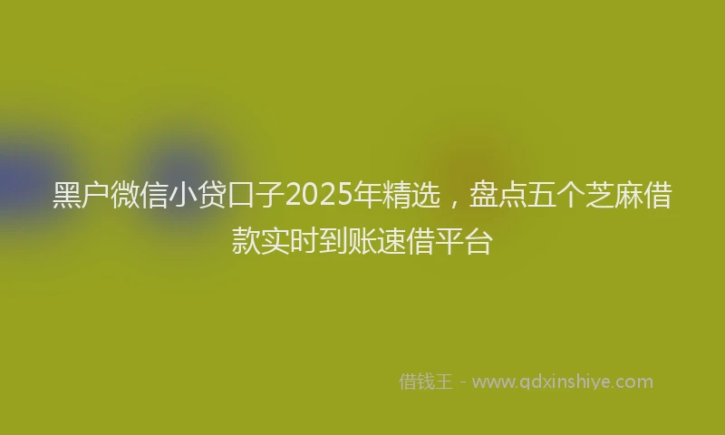 黑户微信小贷口子2025年精选，盘点五个芝麻借款实时到账速借平台