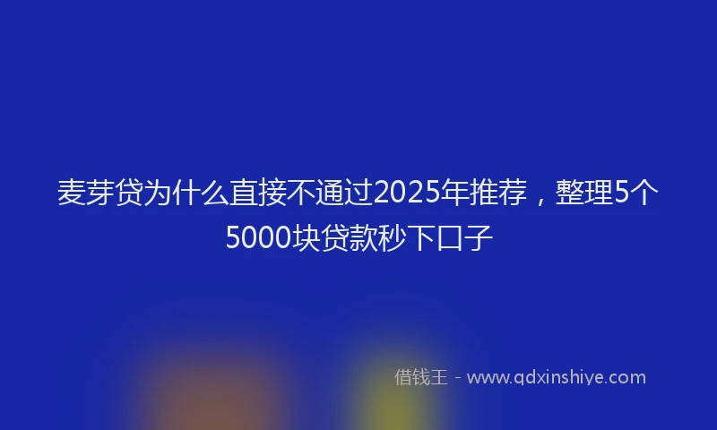 麦芽贷为什么直接不通过2025年推荐，整理5个5000块贷款秒下口子