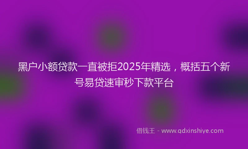 黑户小额贷款一直被拒2025年精选，概括五个新号易贷速审秒下款平台