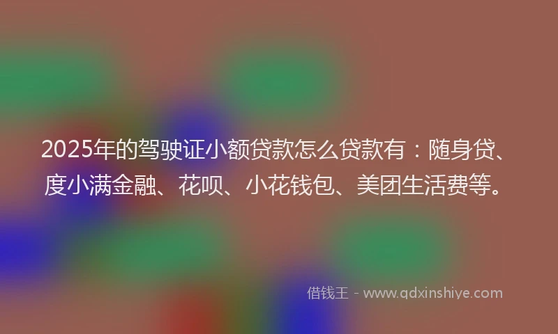 2025年的驾驶证小额贷款怎么贷款有：随身贷、度小满金融、花呗、小花钱包、美团生活费等。