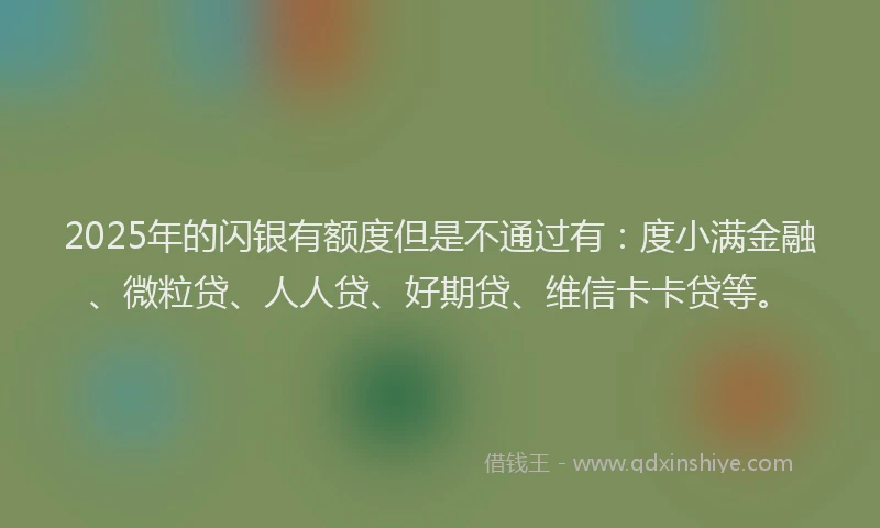 2025年的闪银有额度但是不通过有：度小满金融、微粒贷、人人贷、好期贷、维信卡卡贷等。
