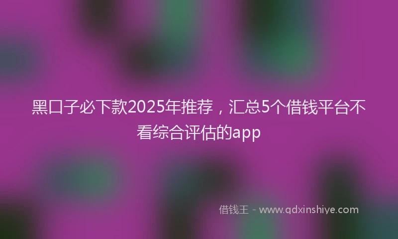 黑口子必下款2025年推荐，汇总5个借钱平台不看综合评估的app