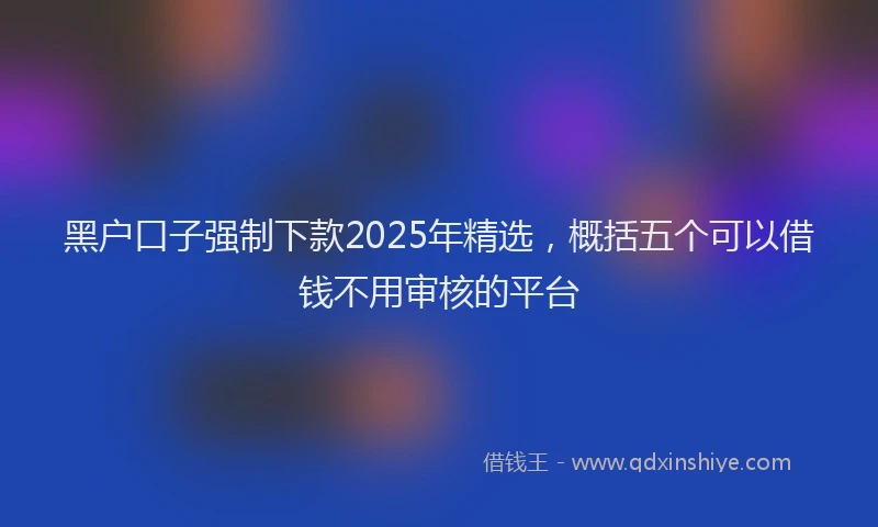 黑户口子强制下款2025年精选，概括五个可以借钱不用审核的平台