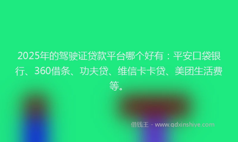 2025年的驾驶证贷款平台哪个好有：平安口袋银行、360借条、功夫贷、维信卡卡贷、美团生活费等。