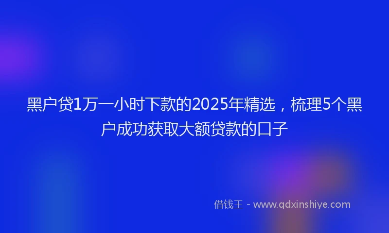 黑户贷1万一小时下款的2025年精选，梳理5个黑户成功获取大额贷款的口子