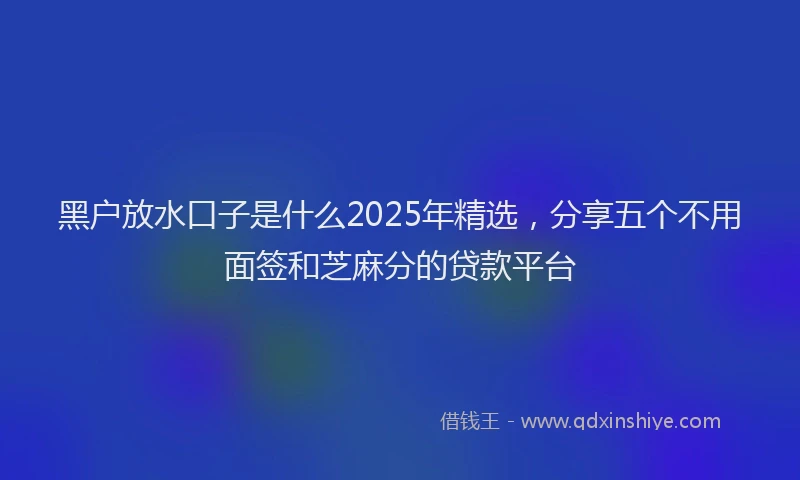 黑户放水口子是什么2025年精选，分享五个不用面签和芝麻分的贷款平台