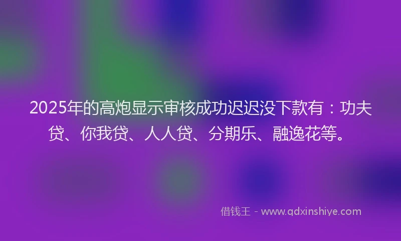 2025年的高炮显示审核成功迟迟没下款有：功夫贷、你我贷、人人贷、分期乐、融逸花等。