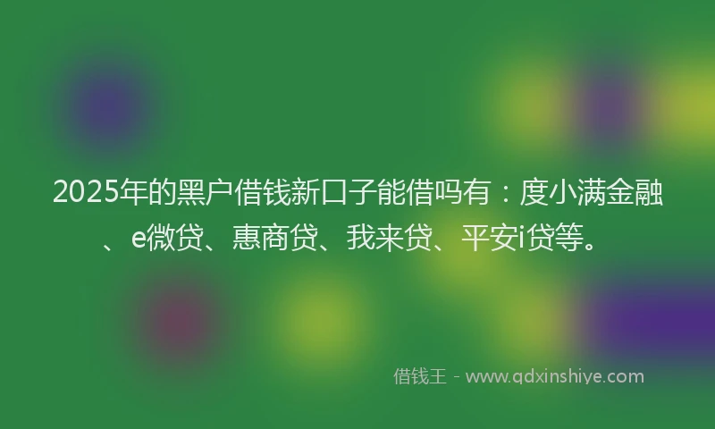 2025年的黑户借钱新口子能借吗有：度小满金融、e微贷、惠商贷、我来贷、平安i贷等。