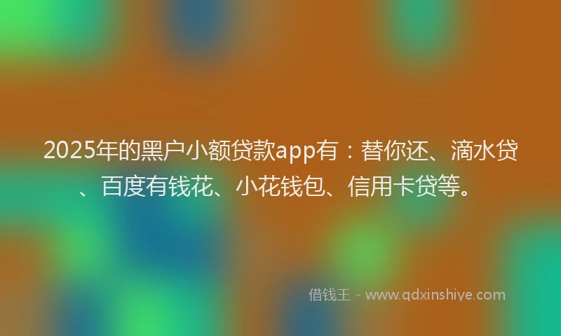 2025年的黑户小额贷款app有：替你还、滴水贷、百度有钱花、小花钱包、信用卡贷等。