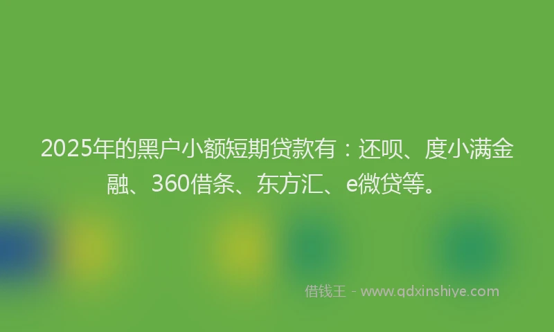 2025年的黑户小额短期贷款有：还呗、度小满金融、360借条、东方汇、e微贷等。