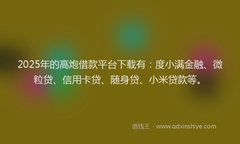 2025年的高炮借款平台下载有：度小满金融、微粒贷、信用卡贷、随身贷、小米贷款等。