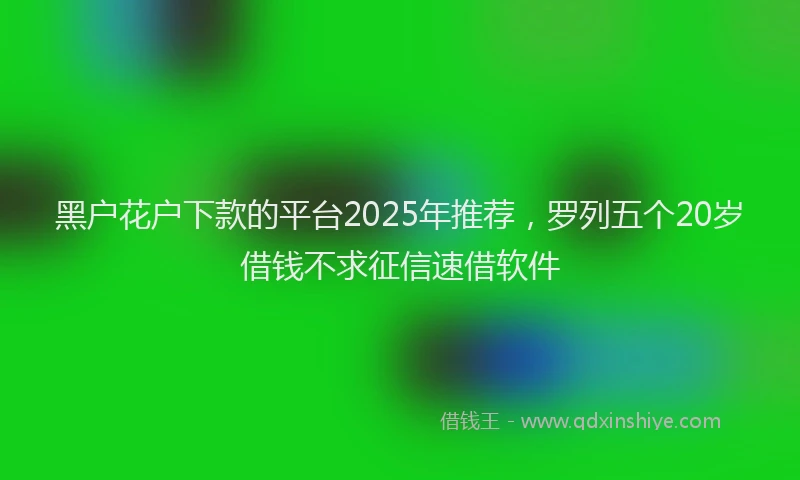 黑户花户下款的平台2025年推荐，罗列五个20岁借钱不求征信速借软件