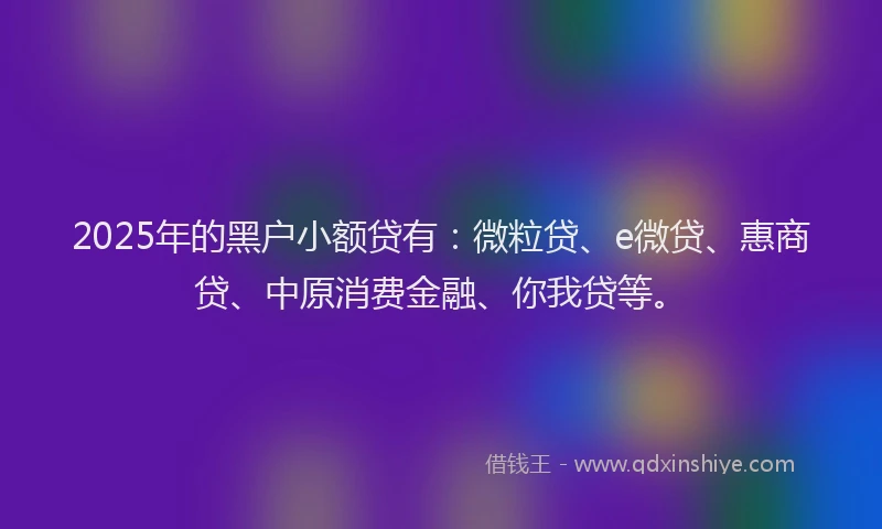 2025年的黑户小额贷有：微粒贷、e微贷、惠商贷、中原消费金融、你我贷等。