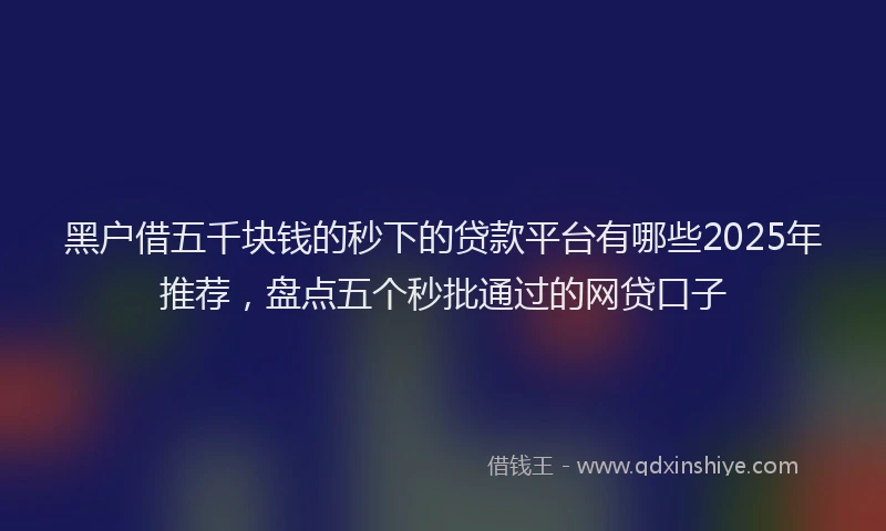 黑户借五千块钱的秒下的贷款平台有哪些2025年推荐，盘点五个秒批通过的网贷口子